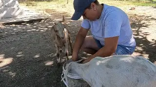 Живу ОДНа с детьми в деревне.Влог.