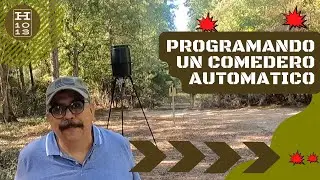 Como Programar un Comedero Automatico