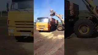 Водитель на уборочной