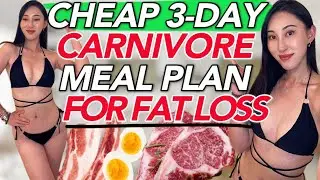 3-Day Carnivore Meal Plan for CHEAP! Burn Fat on 2 Meals A Day Pantry Kitchen Non-Toxic Staples Keto
