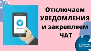 Уведомления в Телеграм: как отключить звук , закрепить чат