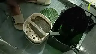 Akvaryum Dış Filtre Temizliği ATMAN