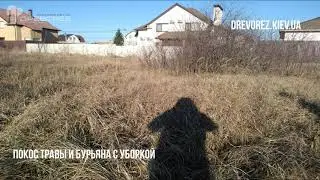 Очистка участка от зарослей