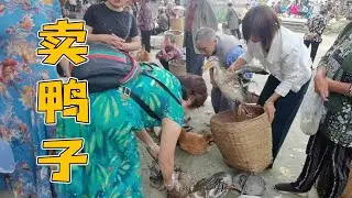 The eldest sister sells ducks at the market, and she was spotted when she arrived at the market