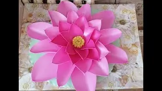 Водная лилия для пруда