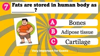 MCQ Questions for Class 9 Science Chapter 6 Tissues with Answers | Tissues Class 9 MCQs Questions