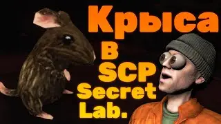 В SCP:SL ДОБАВИЛИ КРЫСУ??? **НОВАЯ ПАСХАЛКА**
