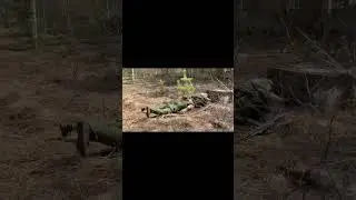 Тактическая подготовка. Эвакуация раненого из красной зоны