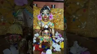 ekadoshite gopal sonader snan #jaygopal#radheradhe #youtubeshorts #shortsvideo