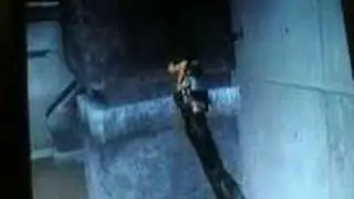 Tomb Raider Anniversary