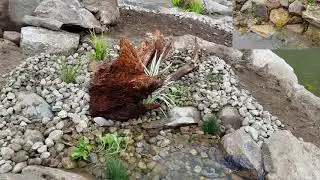 Koi Pond Construction