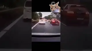 Der Motorradkiller ist da! Autofahrer hasst Motorräder?🚗😤 