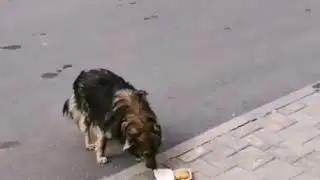 Проверка на качество