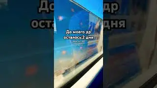 Давайте? #др18мая #санктпетербург #1000subscribers