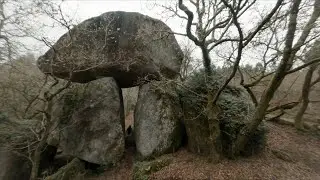 Explorando un bosque encantado en Galicia  - Betafpv 95xv3 con naked gopro 8 -