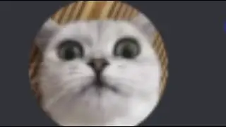 When You Get On Discord With Your Friends...