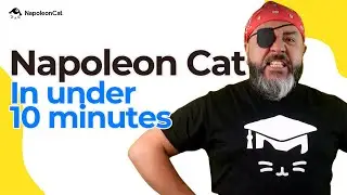 Master Social Media Moderation in Minutes with NapoleonCat