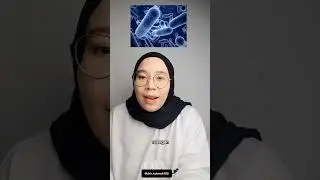 raw food buat anabul