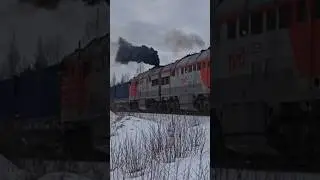 2ТЭ116-507 дал медведя