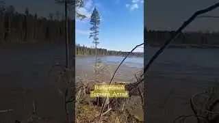 Весна в Горном Алтае 