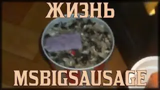 КАК ЖИВЁТ МСБИГСЭЙГОН?