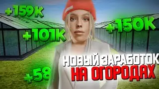 НУЖЕН ЛИ ФИКС ОГОРОДОВ?? ОГРОМНЫЕ ДЕНЬГИ МУТЯТСЯ НА ОГОРОДАХ | RADMIR RP