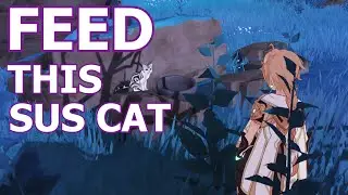 Feed This Cat Will Give You..