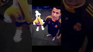 17 août 2024