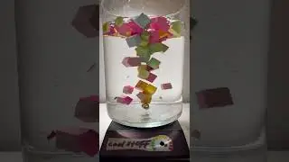 EXPERIMENT water tornado wood blocks