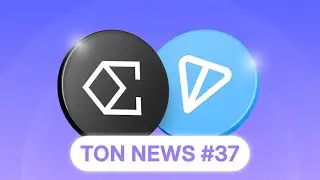 USDe Launches on TON in Telegram Wallet | NEWS #37