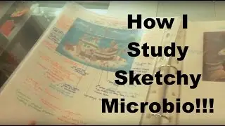 How to study SKETCHY