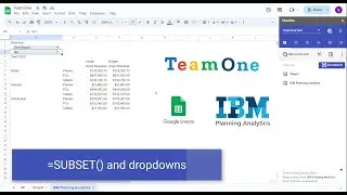 Subset() function to get IBM Planning Analytics dimension elements in Google Sheets | TeamOne