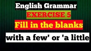 English Grammar | EXERCISE | 5 fill in the blanks with a few a little | SK Teacher