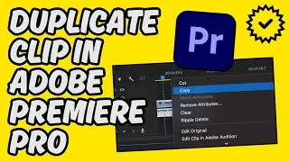 [Easy Guide] Duplicate Clip in Adobe Premiere Pro