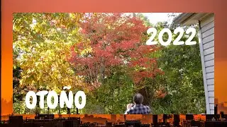 Arboles rojos 2022/ en mi propiedad