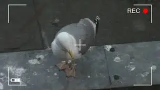 Угостил 