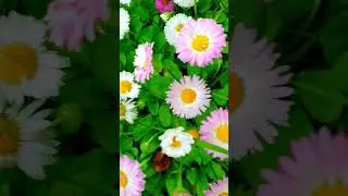 Этот закон давно известен😉