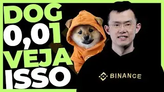 DOG GO TO THE MOON RUMO 1 CENTAVO