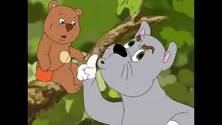 Ayiqcha multfilmi