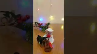 Dog helped the bear.