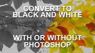 Create Stunning Black and White Photos With or Without Photoshop