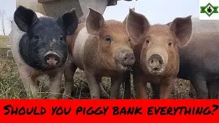 Dave Ramsey don't farm Pt. 1. 😉