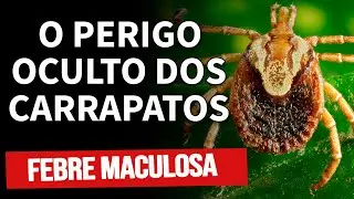 Febre Maculosa: A Doença silenciosa que pode levar à morte! Saiba tudo sobre essa Doença!