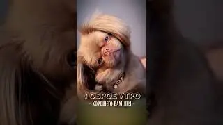 доброе утро!