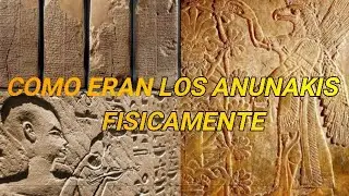COMO ERAN LOS ANUNAKIS FÍSICAMENTE