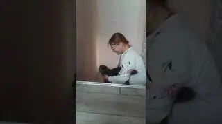 тикток+кот