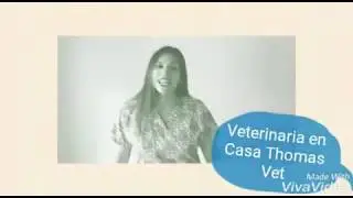 Veterinaria en casa