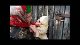 выделка шкуры оленя традицинным способом