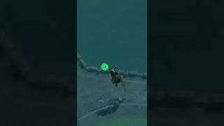 Link Senses a Lizalfos! 