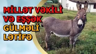 Yaponlar oğrututan robotu Azərbaycana göndərir / mirt letife / gulmeli